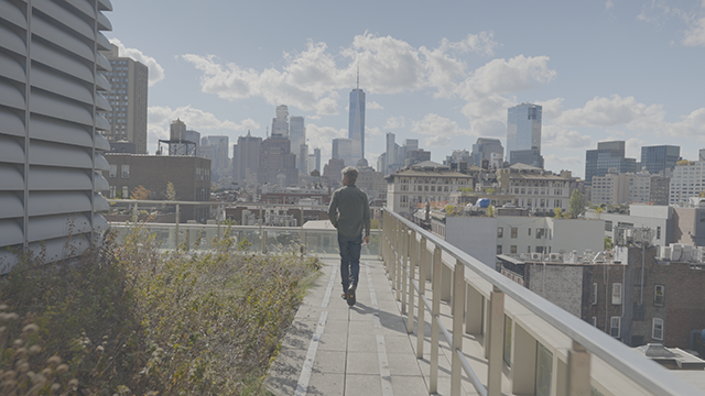 The program wil also be available for streaming online